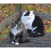 Kihm Sanders's photo