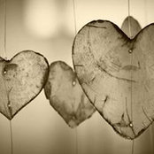 Birgit Trebing's photo