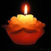 Maya Kertesz's photo