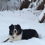 Michele Caveen's photo