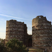 Kim Barrett's photo