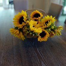 Sun Flowers