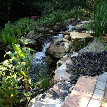 Water Gardens