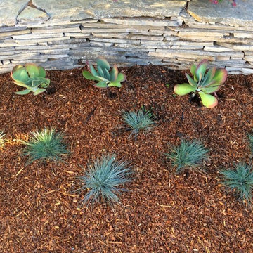 Willow Glen Modern Zen Garden