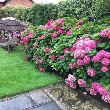 English Gardens