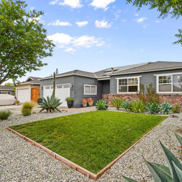 Sorci - Cambrian Neighborhood - San Jose 2023
