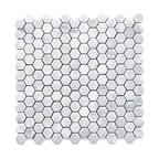 Carrara Marble 1" Hexagon Tile Venato White Carrera Mosaic Honed, 1 sheet