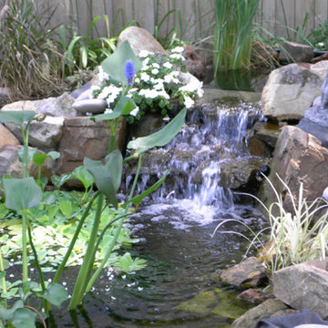 Waterfalls and Streams