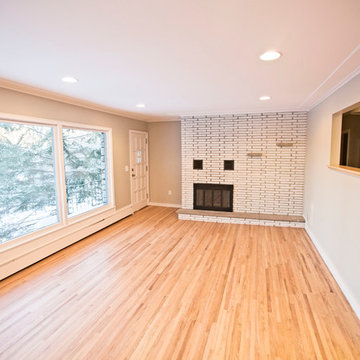 Lake Johanna/Arden Hills whole house remodel
