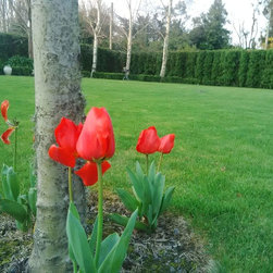 Large grade trees - Products