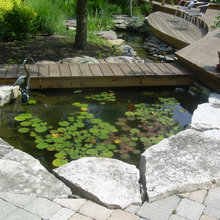 outdoor garden landscape