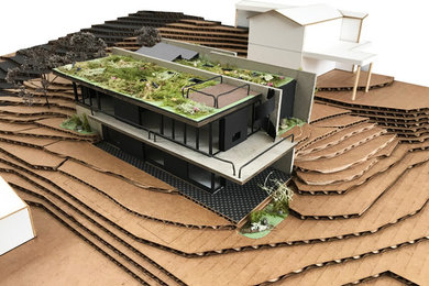 Ejemplo de fachada de casa negra actual grande de dos plantas con revestimiento de hormigón, tejado plano y techo verde