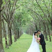 Mai Phuong's photo