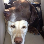 Jeff Love's photo