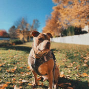 Jessica Grewal's photo