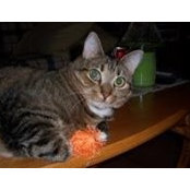Maureen Cox's photo