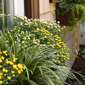 container gardens for autumn