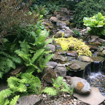 Water Features/Pools