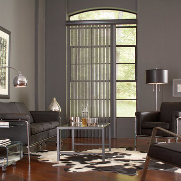 Discoveries Vertical Blinds