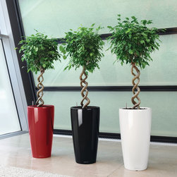Modern Planter - Products