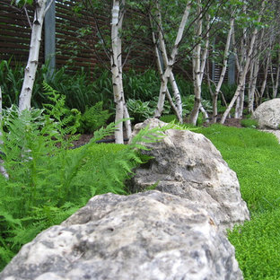 Asian garden in Toronto with with rock feature.