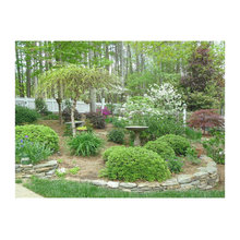 Landscaping Ideas