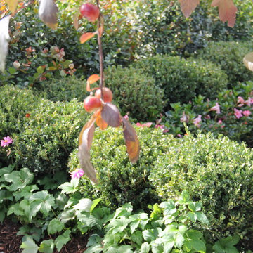 Perth Garden Festival