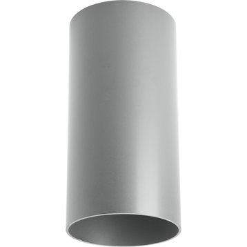 Cylinder 1-Light Ceiling Flush Mount