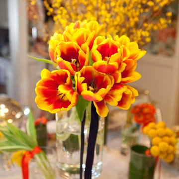 Emily Ruddo Design
