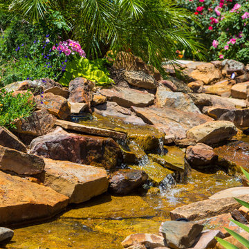 The Golden Pond and Water Features