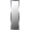 14"x50" Over the Door Full Length Mirror, Silver