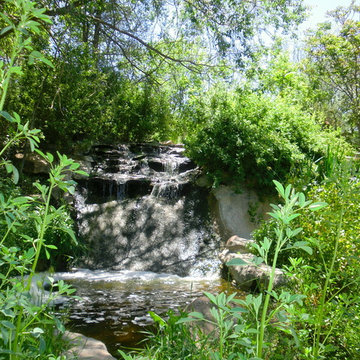 Residential Landscapes