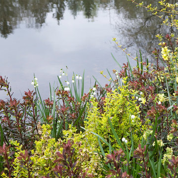 The Orangerie - Spring