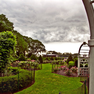 Downtown Rose Garden