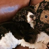 Ginger Barner's photo