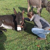 Daniela Huber's photo