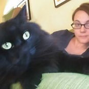 Wendy Holcombe's photo