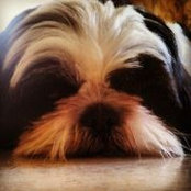 Foto von Nancy Davis