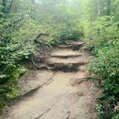 Paula Walter's photo