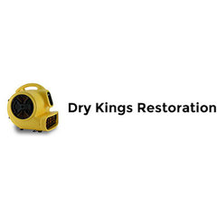 Dry Kings Restoration