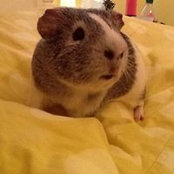 Beth Umberger's photo