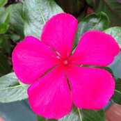 Judy Roberts's photo