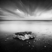 Adam Lee Sun Yang's photo