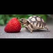Kindra Jones's photo