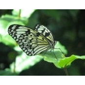 Dianna Halpin's photo
