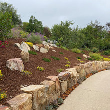 Backyard Hillside