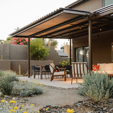 Desert Vista
