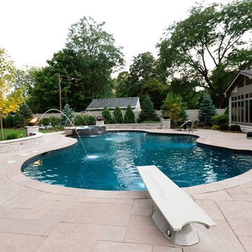 Freeform Pool in Downers Grove, IL