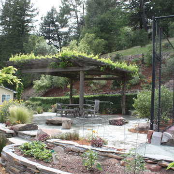 Orinda Project