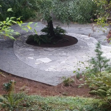 Peacock Landscape After